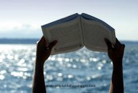 Reading comprehension: Exercise Text 1 Reading comprehension: Exercise Text 1