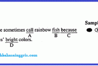 TOEFL Section 2: Mengenal Bagian structure And Written Expression