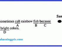 TOEFL Section 2: Mengenal Bagian structure And Written Expression