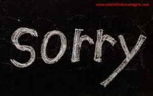 Contoh percakapan expression of apologizing