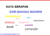 330 Kata Serapan dalam Bahasa Inggris Kedalam Bahasa Indonesia