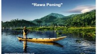 Cerita Rakyat Jawa Tengah: “Rawa Pening” Dalam Bahasa Inggris