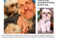 10 Contoh Kumpulan Berbagai Pengumuman Dalam Bahasa Inggris 10 Contoh Kumpulan Berbagai Pengumuman Dalam Bahasa Inggris