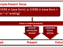 Rumus Simple Present Tense, Pengertian, Fungsi, Dan Contoh Kalimatnya Lengkap