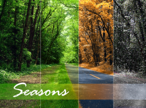 The Seasons : Kumpulan Nama Cuaca dan Iklim dalam Bahasa Inggris beserta Contoh Kalimat