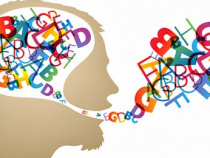 Pengertian, Fungsi, Macam Dan Contoh "Adverb Of Probability" Dalam Kalimat Bahasa Inggris