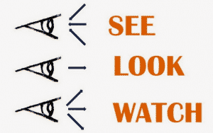 Perbedaan,Penggunaan Dan Contoh "See, Look, Watch" Dalam Kalimat Bahasa Inggris