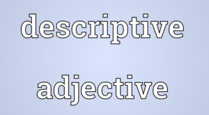 Pengertian, Bentuk Dan Contoh "Descriptve Adjective" Dalam Kalimat Bahasa Inggris