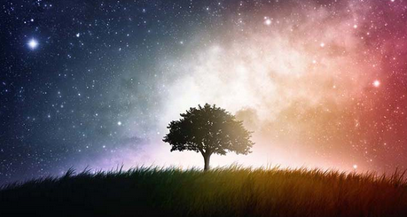 Perbedaan "Creator vs Creature" Dalam Bahasa Inggris Beserta Contohnya