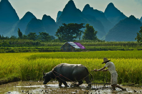 Kumpulan Istilah Pertanian Dalam Bahasa Inggris Dari A-Z Paling Lengkap