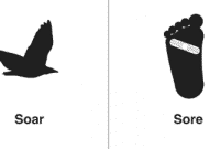 Perbedaan "Sore vs Soar" Dalam Bahasa Inggris Dan Contohnya